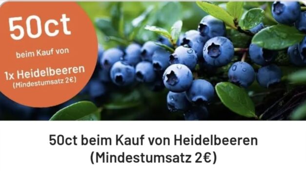 Cashback auf Heidelbeeren