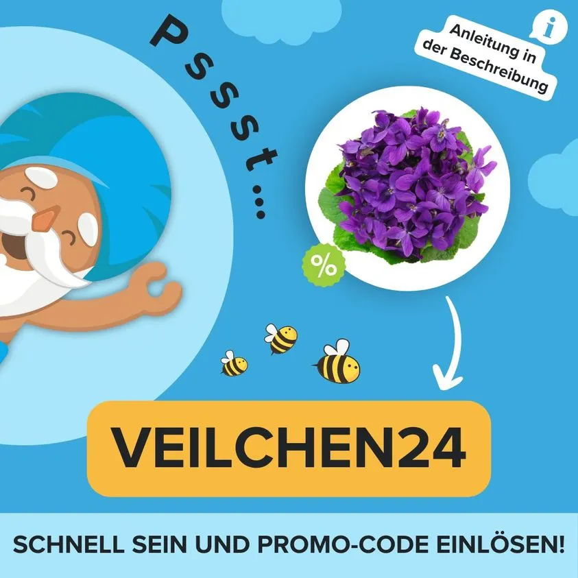 Cashback Auf Veilchen