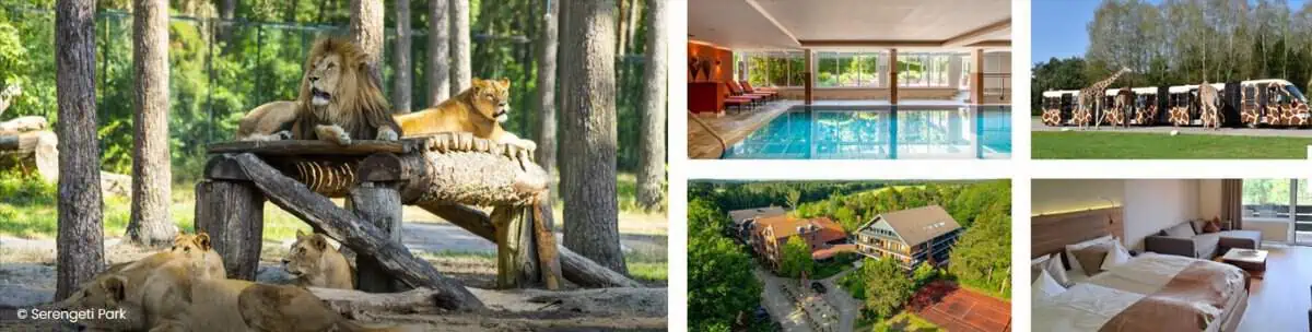 Entdeckt das ultimative Abenteuer: 2 Nächte im 4* Hotel Heide Kröpke inklusive Serengeti-Park Erlebnis ab 272 € für 2 Personen! 🌍🦒