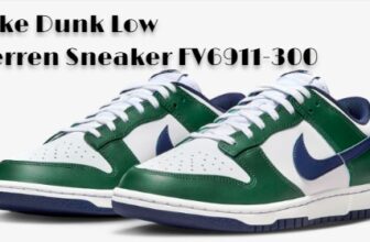 Nike Dunk Low Herren Sneaker FV6911-300