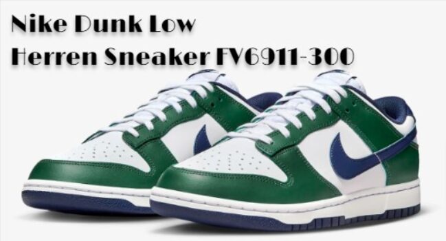 Nike Dunk Low Herren Sneaker FV6911-300