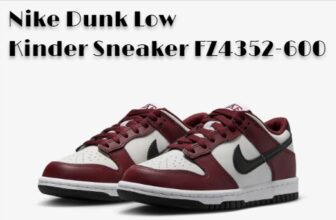 Nike Dunk Low Kinder Sneaker FZ4352-600