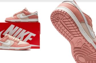 Nike Dunk Low Retro Premium Herren Sneaker FB8895-601