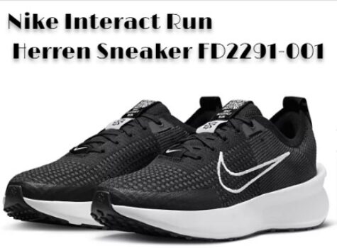 Nike Interact Run Herren Sneaker FD2291-001