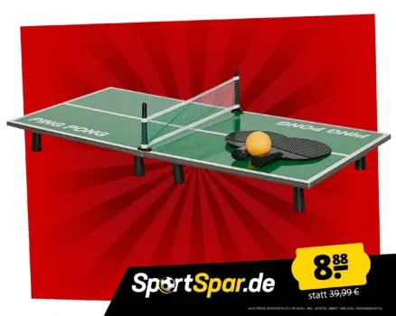 PING PONG Mini Tischtennisplatte mit Schlägern & Netz 5-teilig