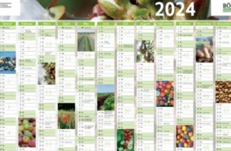 Wandkalender-2024