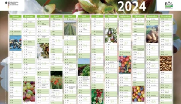 Wandkalender-2024