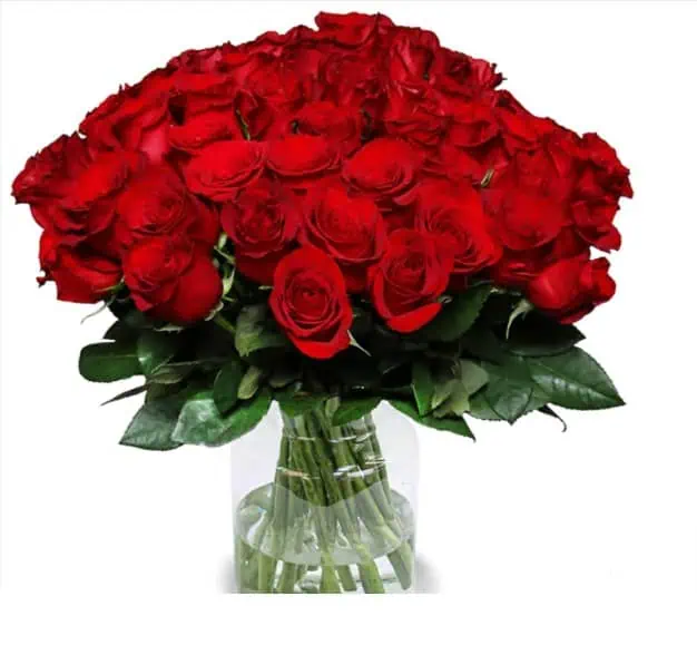 Blumenstrauß Perfekter-Liebesbeweis mit 60 Roten Rosen für 29,98 € inkl. Versand 🌹
