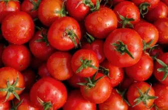 Cashback auf frische Tomaten