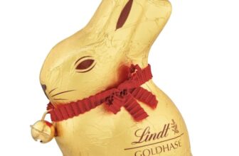 Lindt-Schokolade-GOLDHASE-32-x-50-g-GOLDHASE-Vollmilch-Schokolade-in-Hasenform-