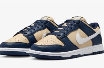 Nike Dunk Low Damen Sneaker DD1873-401