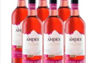 6-Flaschen-Peter-Mertes-Andes-Syrah-Rosé-trocken