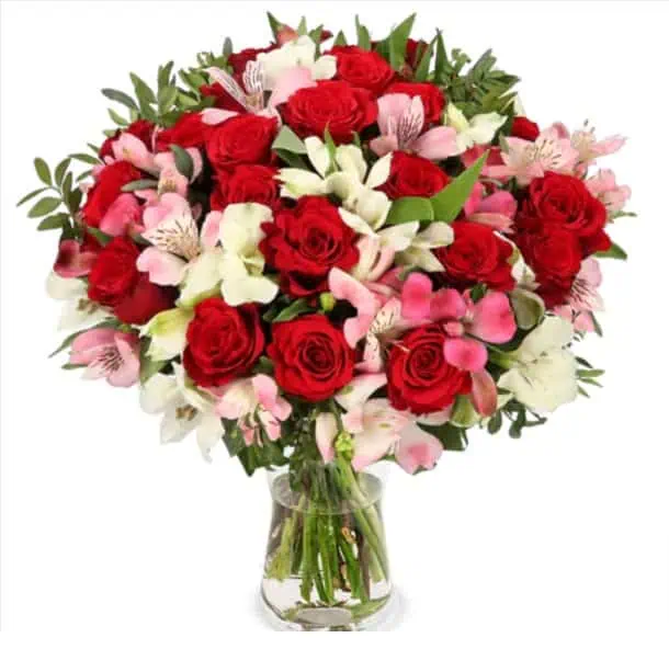 Blumenstrauß Liebesgruß mit 20 Stiele bis zu 40 Blüten für 25,48 € inkl. Versand 🌹 🌹 🌹