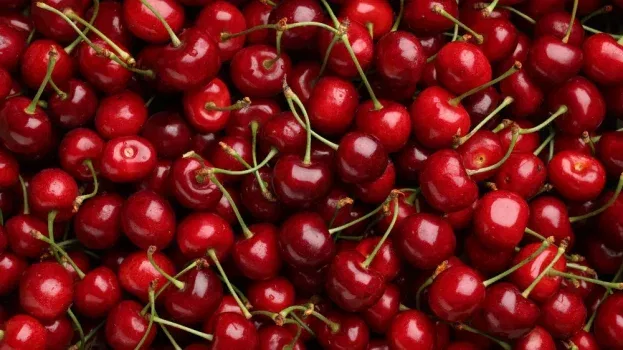 marktguru: 0,40 € Cashback auf frische Kirschen🍒 (effektiv 100g für 0,39 € bei Netto MD)