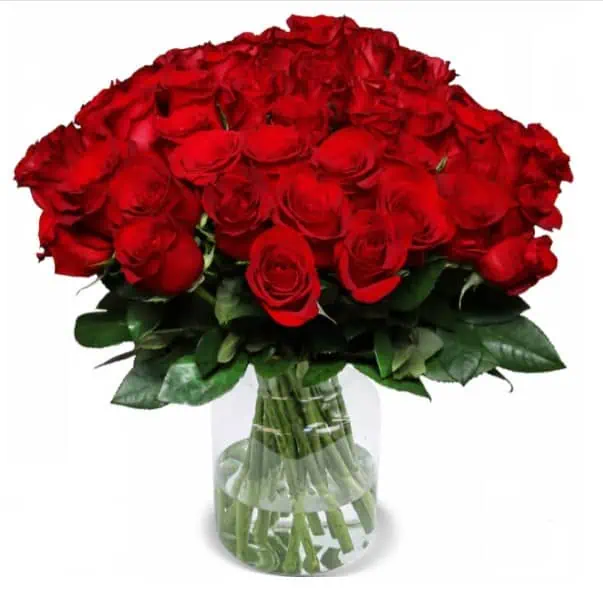 🔥 Blumenstrauß ClassicRed mit 44 rote Rosen für 17,48 € inkl. Versand 🌹