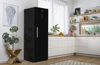 Gorenje R 619 DABK6 Kühlschrank