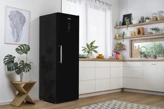 Gorenje R 619 DABK6 Kühlschrank