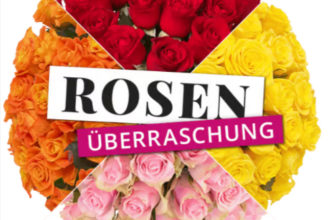 Rosenüberraschung mit 50 Rosen