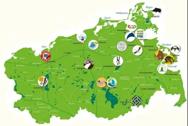 Gratis Eintritt für Kinder bis 14 Jahre in Zoos und Tiergarten Mecklenburg-Vorpommerns am 26.07.24