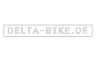 Delta Bike