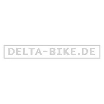 Delta Bike