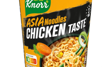 Knorr-Asia-Noodles-Instant-Nudeln-Chicken-Taste-leckere-Asia-Nudelm