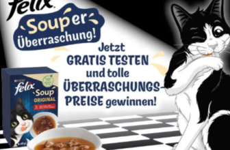 Wie-SOUPer-ist-das-denn-PURINA-FELIX-09-22-2024 07 38 AM