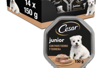 Cesar-Junior-Hundefutter-Welpe-Puppy-mit-zartem-Truthahn-und-Kalb