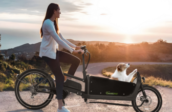 E-Bike-Cargo-Lastenrad-250W-36V-16AH-LG-Zelle-schwarz-inkl-Regenabdeckung