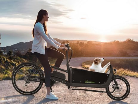 E-Bike-Cargo-Lastenrad-250W-36V-16AH-LG-Zelle-schwarz-inkl-Regenabdeckung