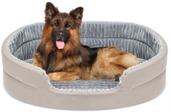 EXTFANS-Hundebett-Orthopädisches-Hundebett-Grosse-Hunde-75x50x10cm-Hundebett