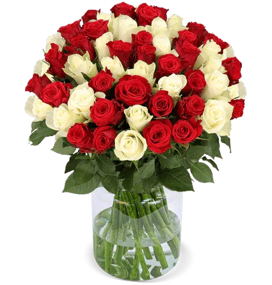 Blumenstrauß Sweet Harmony mit 50 rot-weißen Rosen ab 34,48 € inklusive Versand