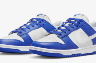 Nike-Dunk-Low-Herrenschuh