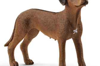 schleich-13895-Rhodesian-Ridgeback-für-Kinder-ab-3-Jahren-FARM-WORLD-Spielfigur-Weizenfarben-Amazon-de-Spielzeug-12-02-2024 07 01 AM