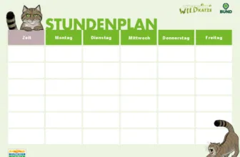 Gratis Wildkatzen-Stundenplan für die Schule vom BUND