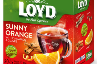 LOYD®-Wärmender-Tee-Orange-Zimt-Nelken-1-Box-20-Teebeutel-40g-Warming-Tea-Sunny-Orange-With-Cinnamon