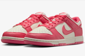 Nike-Dunk-Low-Next-Nature-Schuh-Damen-Nike-