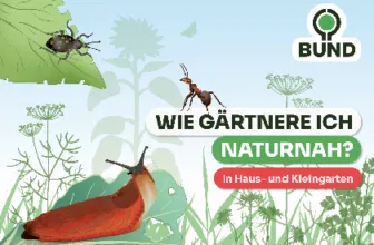 Publikation Naturnahes Gärtnern Ökologischer Pflanzenschutz gratis