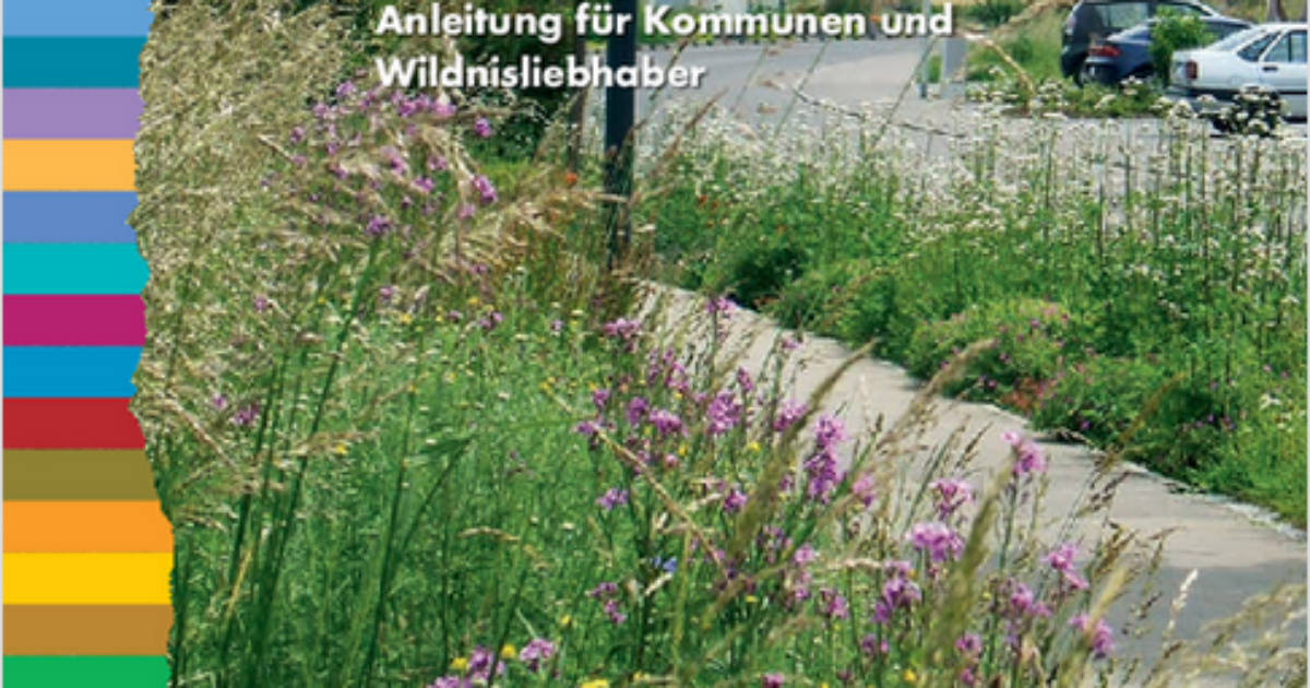 Screenshot-2025-01-26-at-10-54-43-Insekten-schuetzen-leicht-gemacht