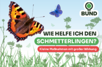 Wie helfe ich den Schmetterlingen
