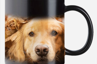 Zaubertasse-mit-Foto-bedrucken