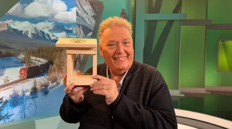 10.000 Gratis Vogel Futter-Stationen 🐦🌿 (Lokal – Bremen, Hamburg, Mecklenburg-Vorpommern, Niedersachsen, Rheinland-Pfalz, Sachsen-Anhalt oder Schleswig-Holstein)