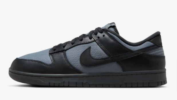 Nike-Dunk-Low-Retro-SE-Winterized-Schuh-Herren-