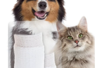 BEAPHAR Zahnpflege Fingerlinge für Hunde und Katzen