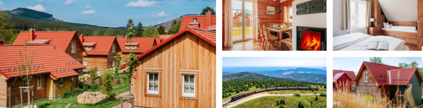 Wohnzimmer mit Kamin im Schierke Harzresort am Brocken