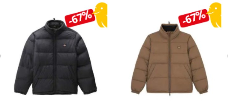 Dickies Waldenburg Herren Jacke - Modische Herrenjacke in 2 Farben und verschiedenen Größen