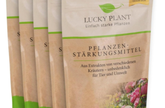 LUCKY PLANT Pflanzenstärkung 200g Pulver - Natürliche Pflanzenunterstützung