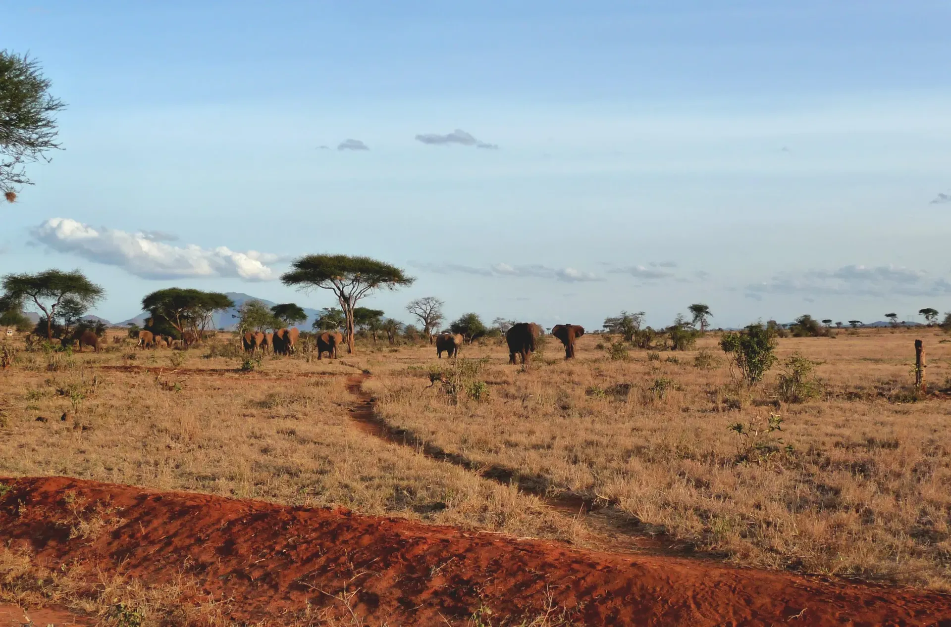 Traumreise Nach Kenia Scaled