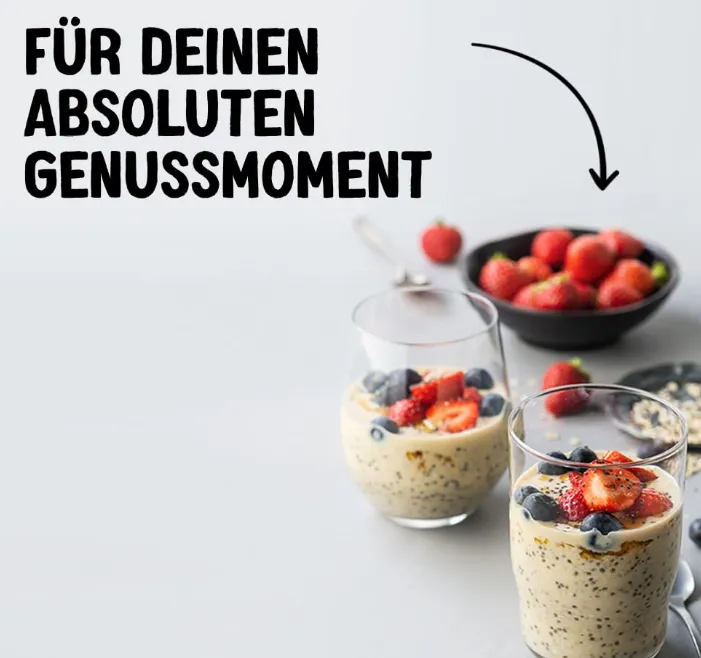 Alpro Soya Dessert Feine Vanille – Auf Soyabasis – Vegan und