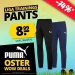 Puma Liga Training Pant Core Herren Trainingshose In Schwarz